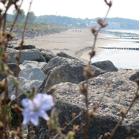 Fachwerkhaus Am Meer App 4 Börgerende-Rethwisch 外观 照片